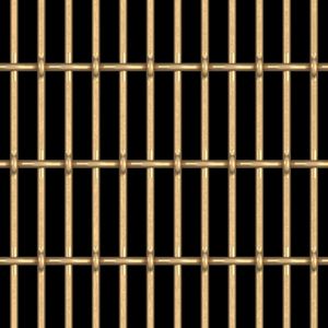 bird wire mesh