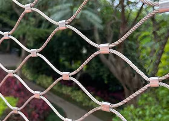 chicken coop mesh wire