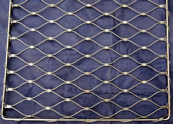 wire mesh belt conveyor design
