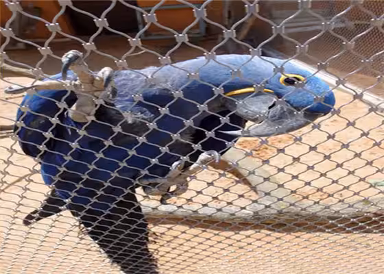 chicken coop floor wire mesh