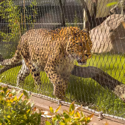 wire mesh sun screening