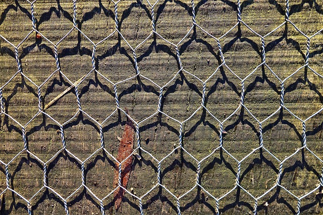 rabbit cage wire mesh