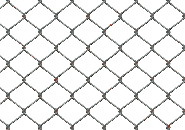 6 x 6 welded wire mesh
