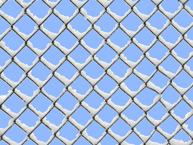 gauge of wire mesh